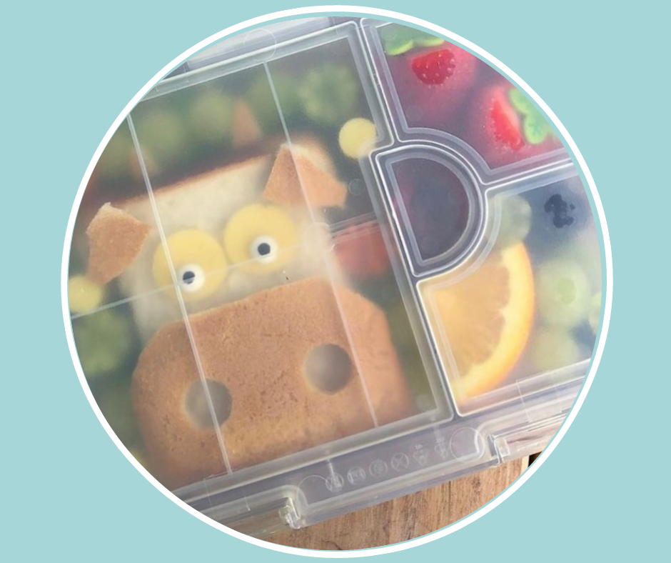 Why I Love the Easy Clean Bento + My Kid's Favourite Snack