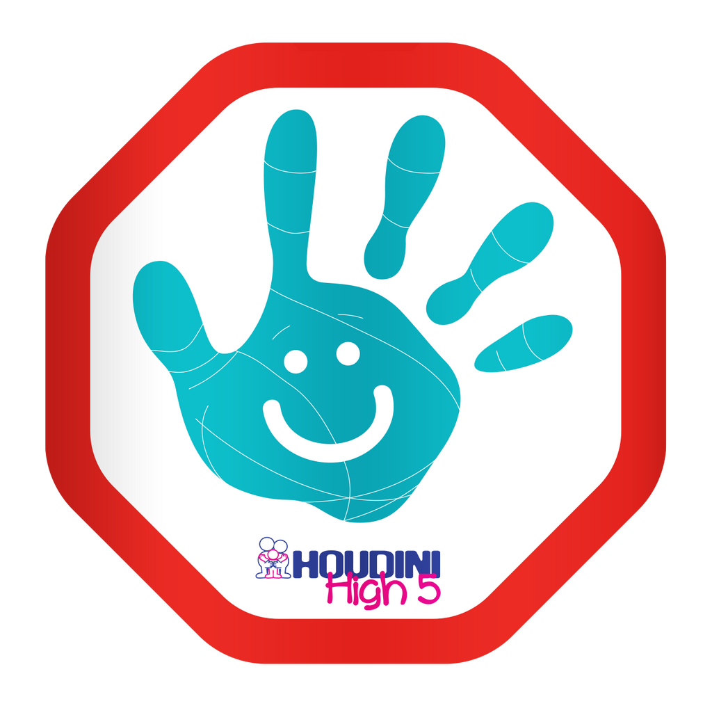 Houdini High 5 Sticker Twin Pack - Aqua